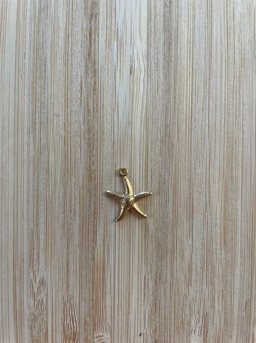 Charm Étoile de mer