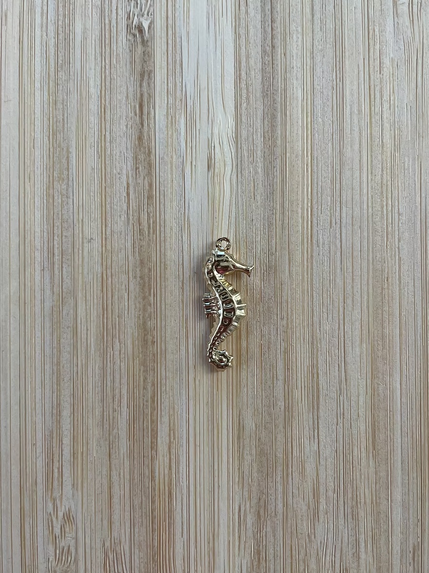 Charm Hippocampe